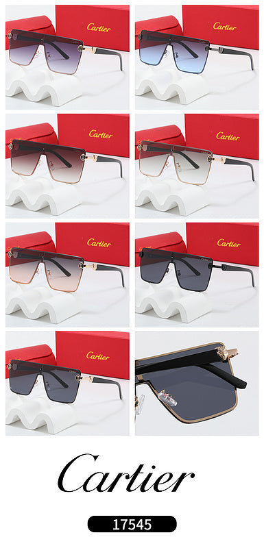 Fashion Sunglasses—110345s