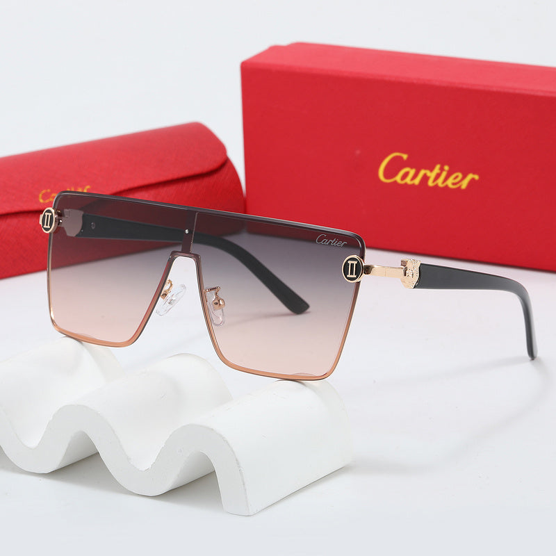 Fashion Sunglasses—110345s