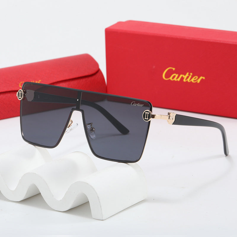 Fashion Sunglasses—110345s