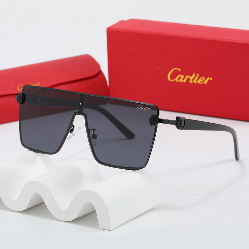 Fashion Sunglasses—110345s