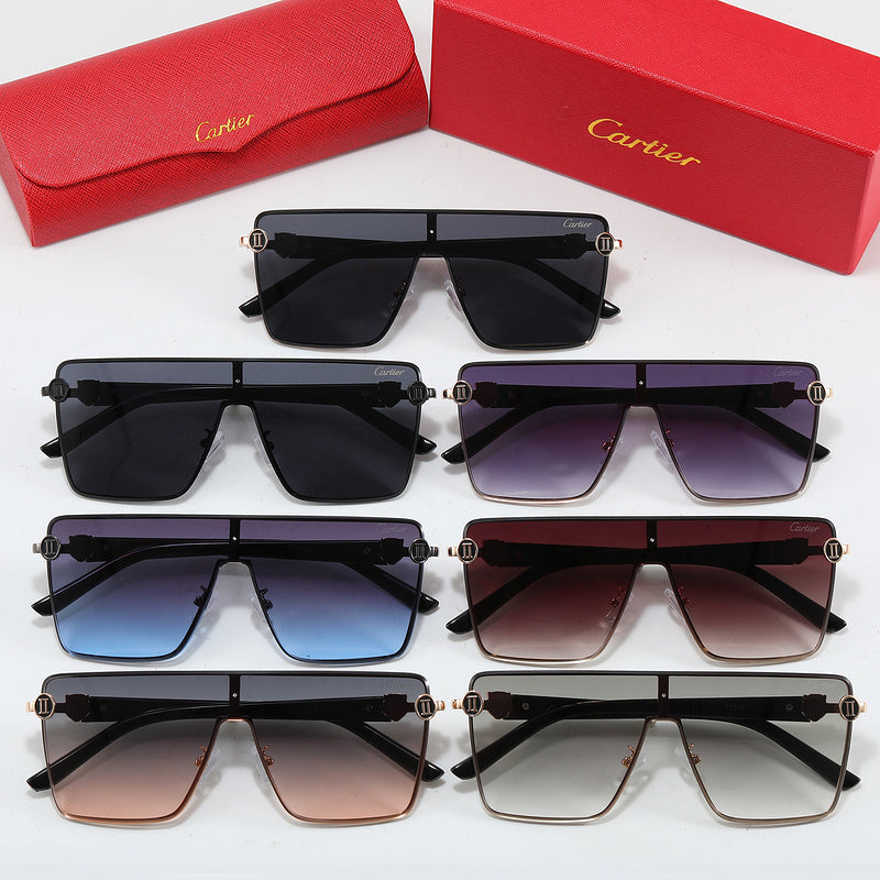 Fashion Sunglasses—110345s