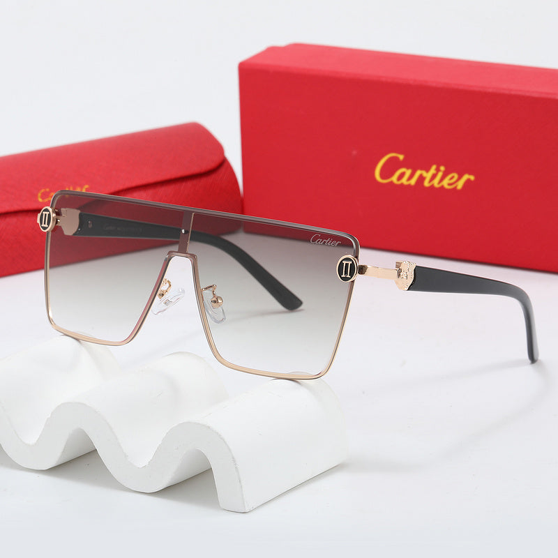 Fashion Sunglasses—110345s