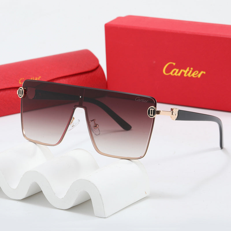 Fashion Sunglasses—110345s