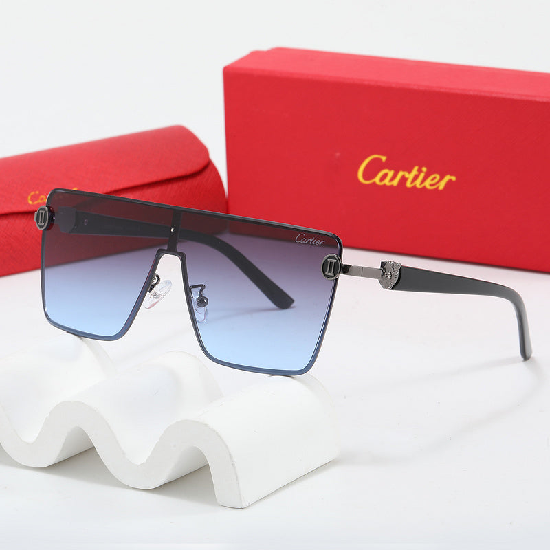Fashion Sunglasses—110345s