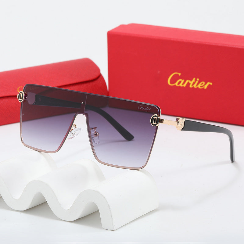 Fashion Sunglasses—110345s